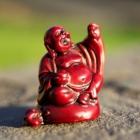 Buddha Statues Wholesale/Import & Export > Buddha Statues Wholesaler - Red