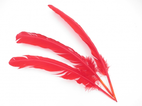 White Sage Smudge Feather red (3 pieces) - wholesale