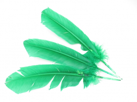 White Sage Smudge Feather green (3 pieces) - wholesale