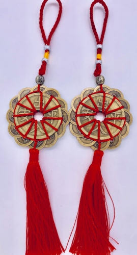 Chinese Lucky Coin with Signs Set 6