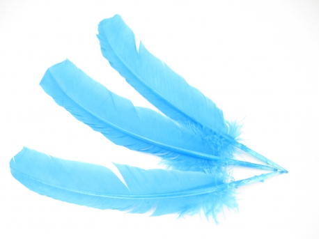White Sage Smudge Feather turquoise (3 pieces) - wholesale
