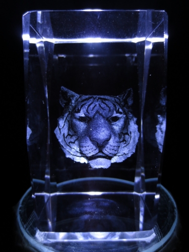 3D Tiger head