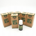 Goloka Incense Sticks Wholesale > Wholesale - Goloka Natural Essential Oils 6pcs (Massage Oil)