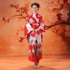 Clothing Wholesale - Import & Export > Japanese Kimono (Long) Wholesale - Import Export 