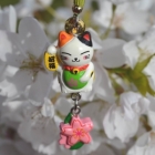 Lucky Cats Wholesale - Import & Export > Lucky Cat (key) Hangers Wholesale
