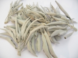 Wholesale - White Sage Leaves 25gram