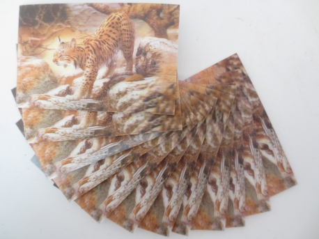 3D Animal Magnet Cards Lynx
