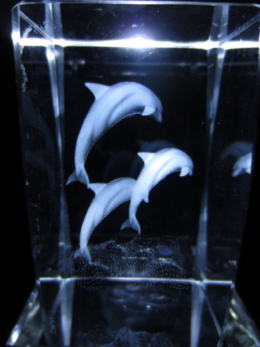 3D laserblok with 3 jumping dolphins