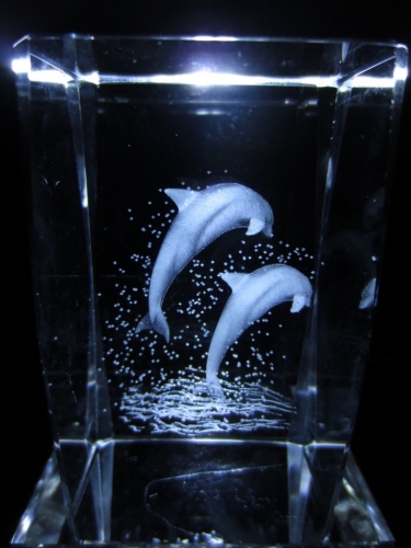 3D laserblok with 2 jumping dolphins