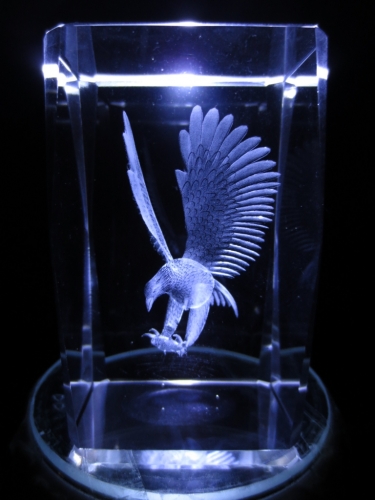 3D laserblok with eagle catches a fish