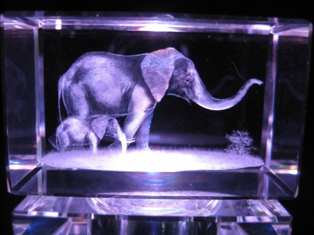 3d elephant with baby