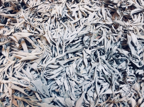 Wholesale - White Sage Leaves 1000gram **AA quality **