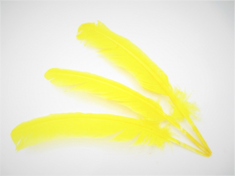 White Sage Smudge Feather yellow (3 pieces) - wholesale