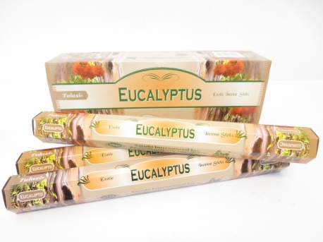 Tulasi Eucalyptus