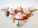 Lucky cat collection