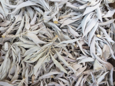 Wholesale - White Sage Leaves 500gram