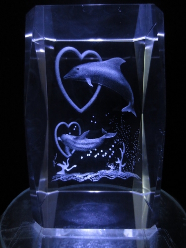 3D laserblok 2 dolphins though heart